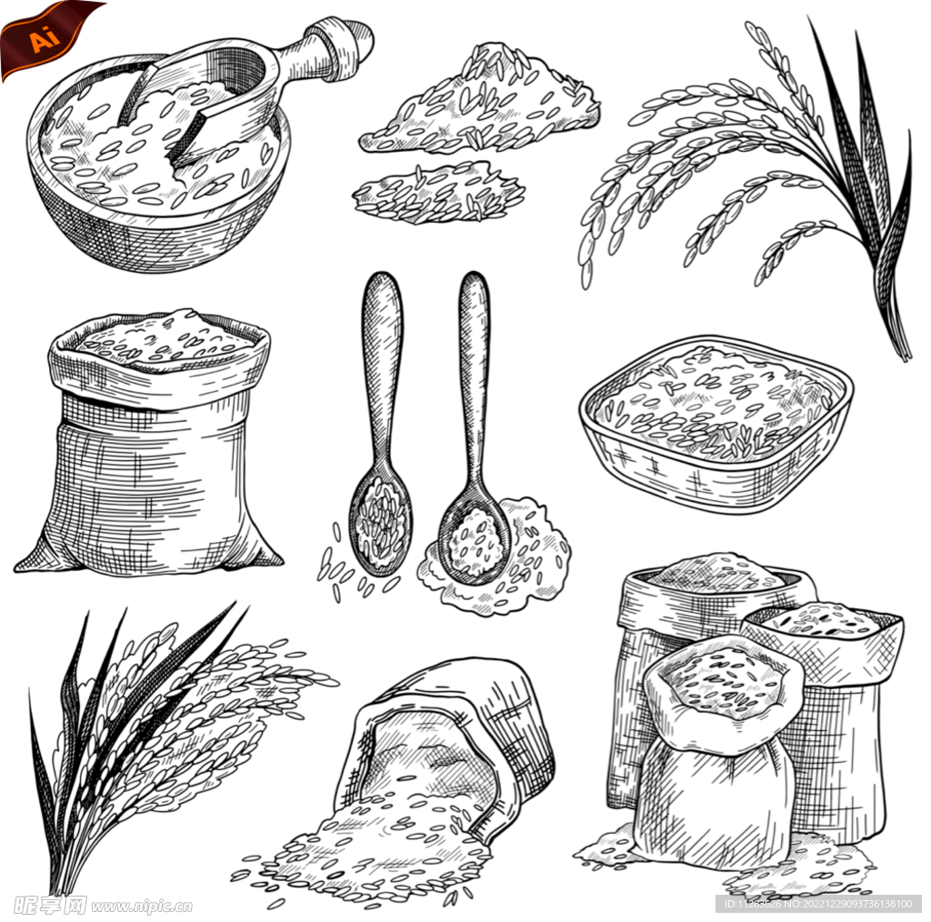 大米手绘插画