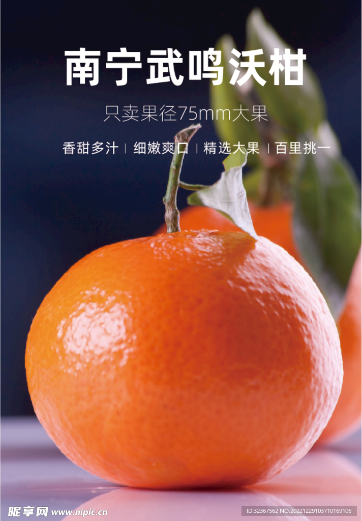 沃柑