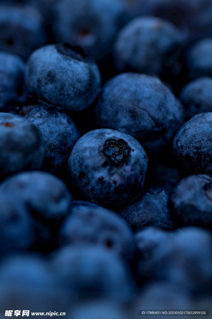 蓝莓