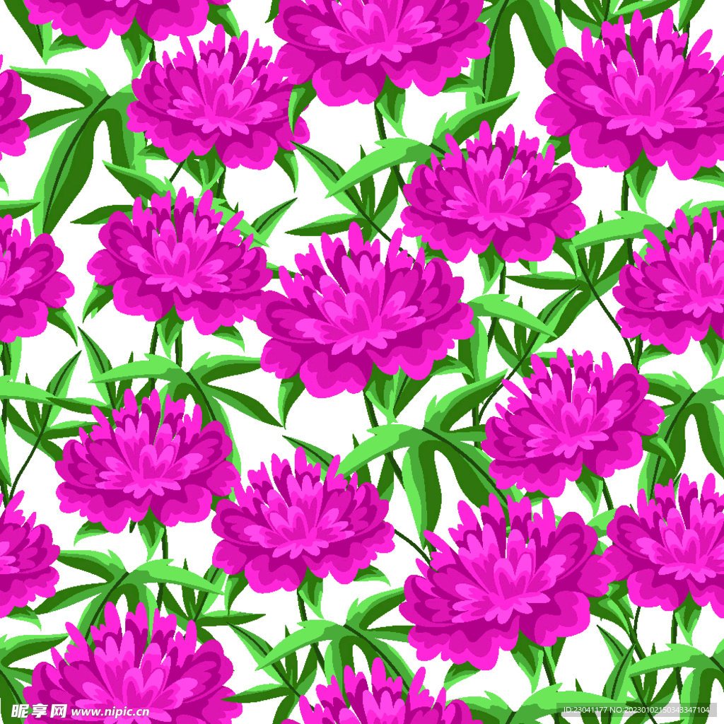 手绘牡丹花