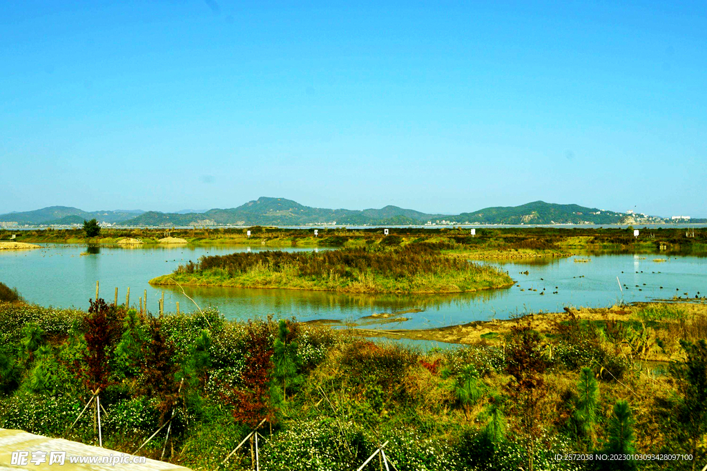 福建闽江河口湿地