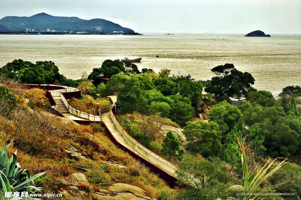 福建闽江河口湿地