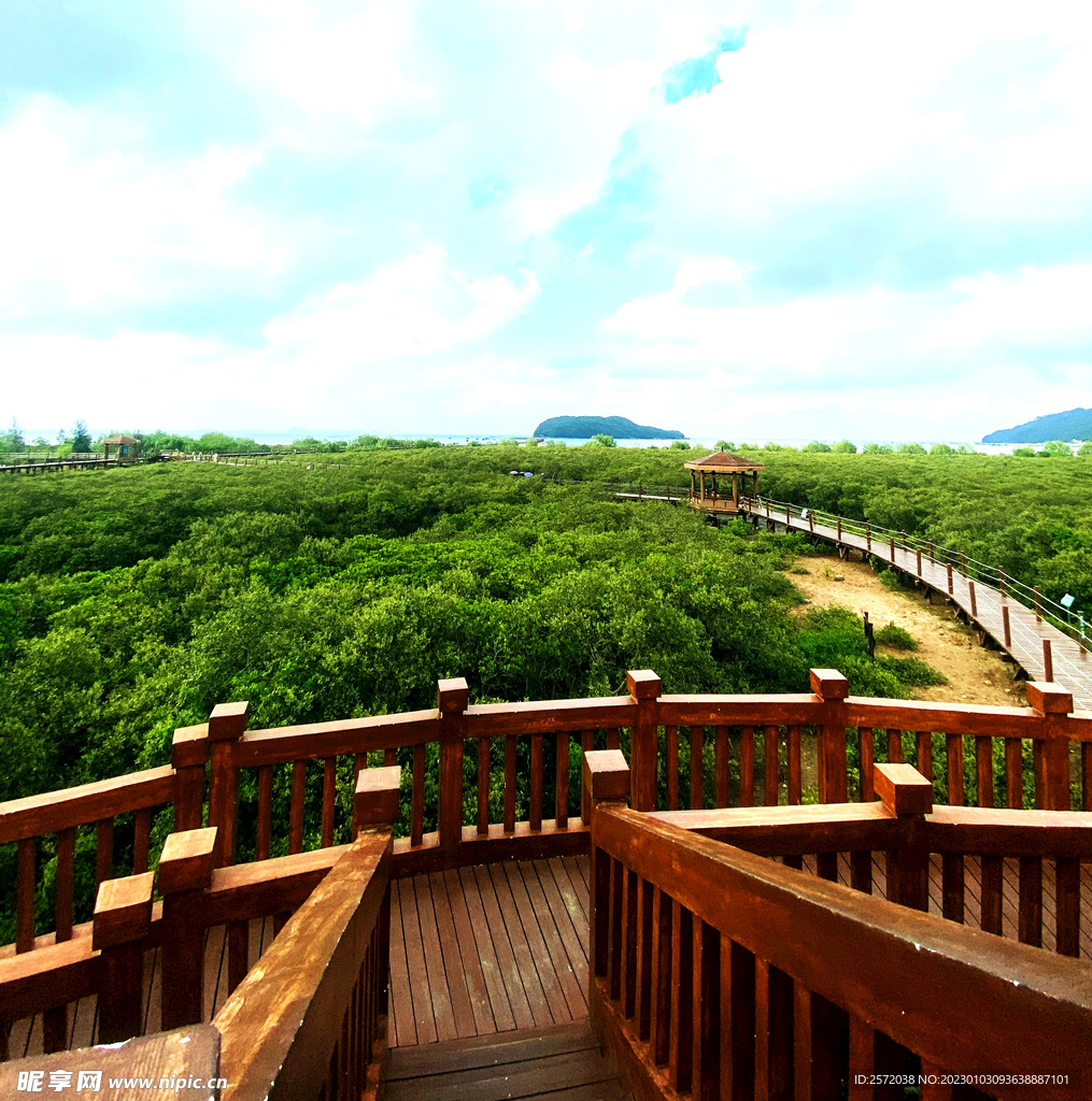 广东海陵岛红树林湿地