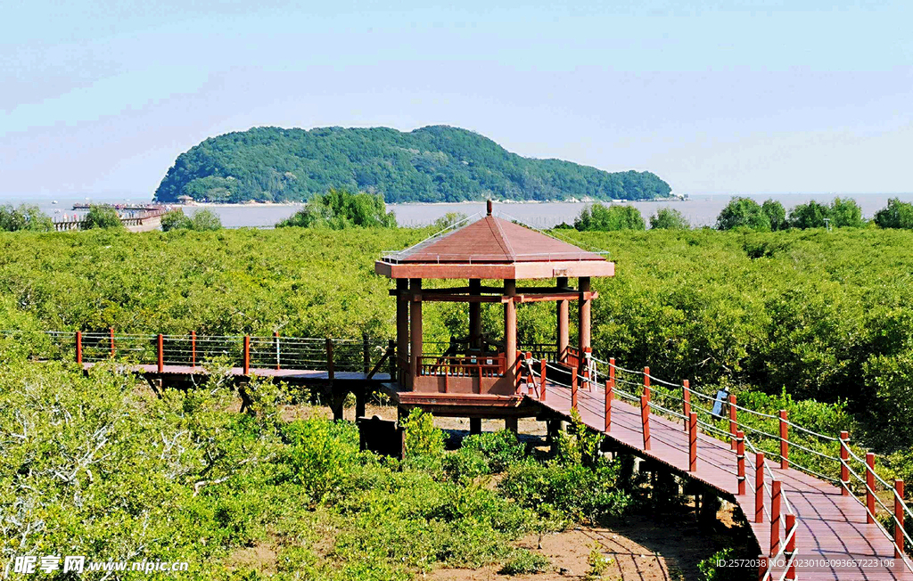 广东海陵岛红树林湿地