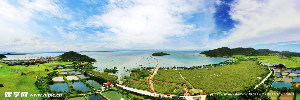 广东海陵岛红树林湿地