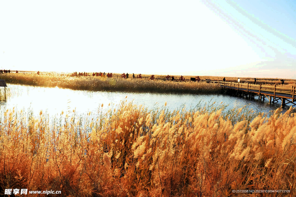 内蒙古居延海湿地公园