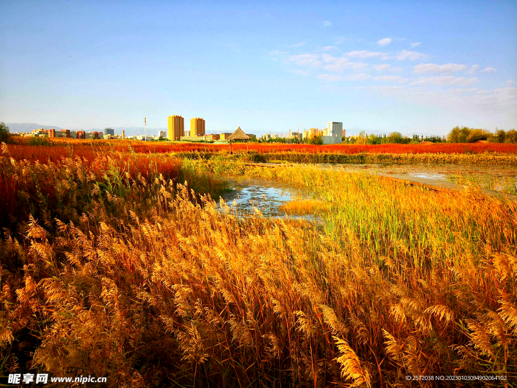 内蒙古居延海湿地公园