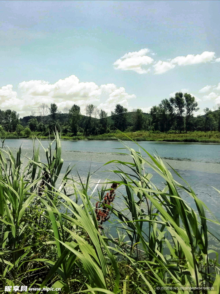辽宁抚顺社河湿地公园