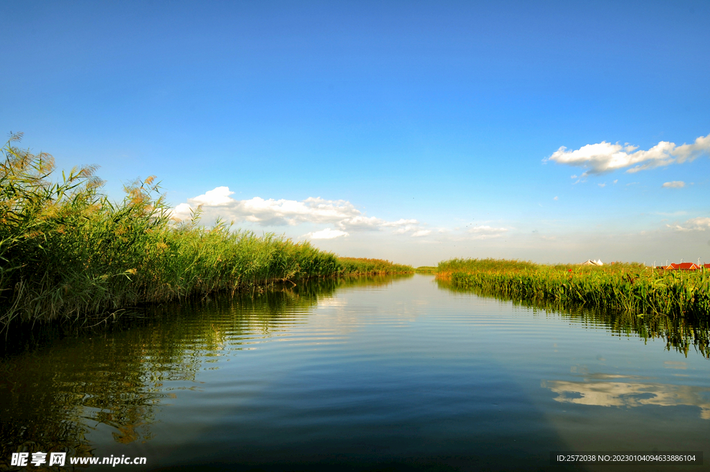 天津七里海湿地