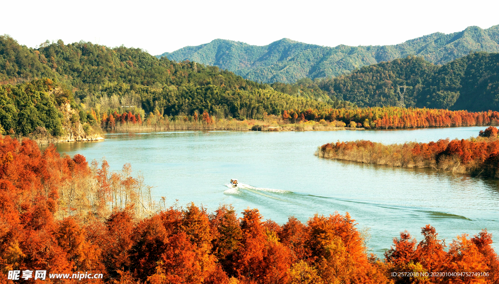 安徽宁国落羽杉湿地公园