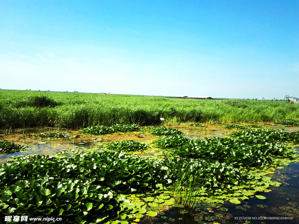 黑龙江大庆鹤鸣湖湿地