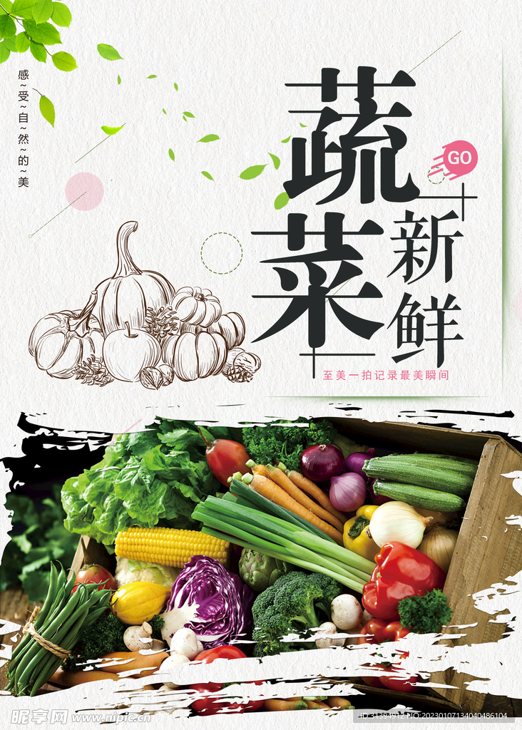 蔬菜海报
