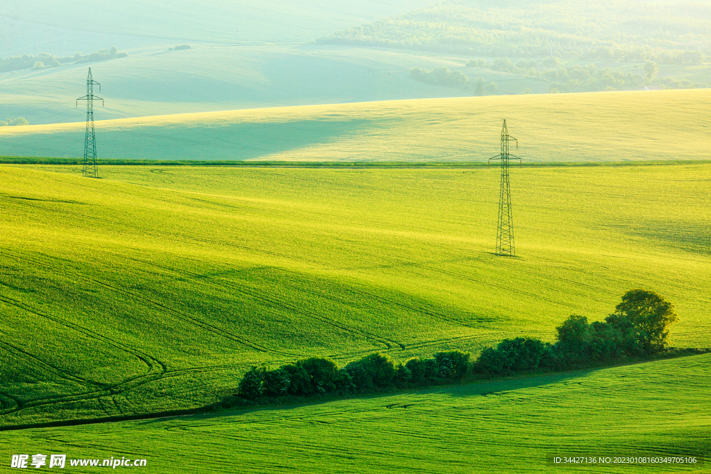 户外草坪草地自然