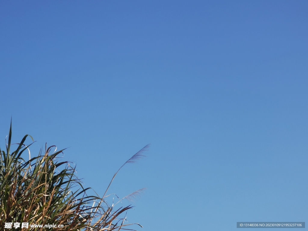 天空