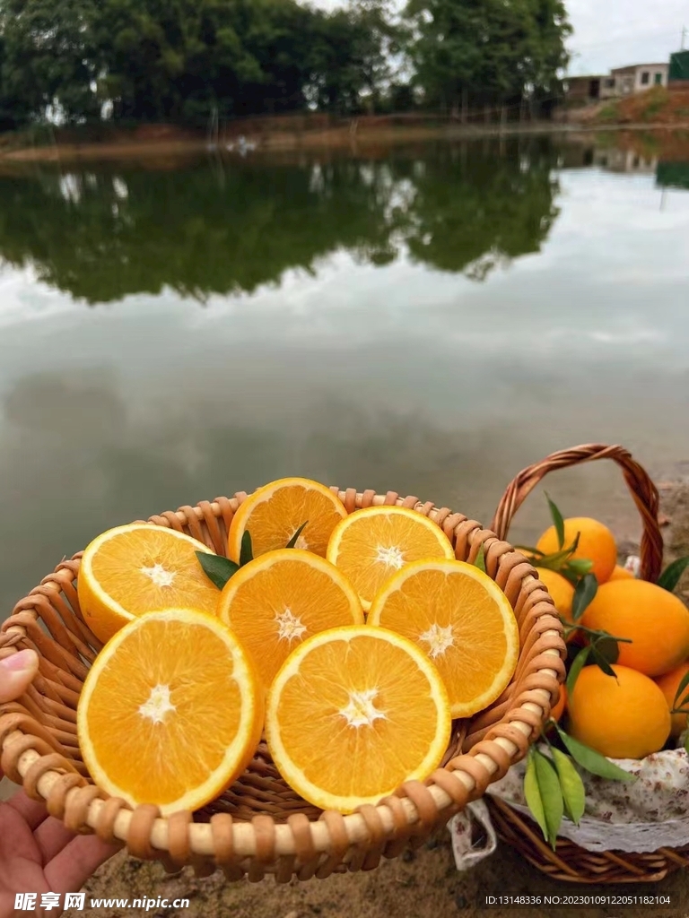 橙子