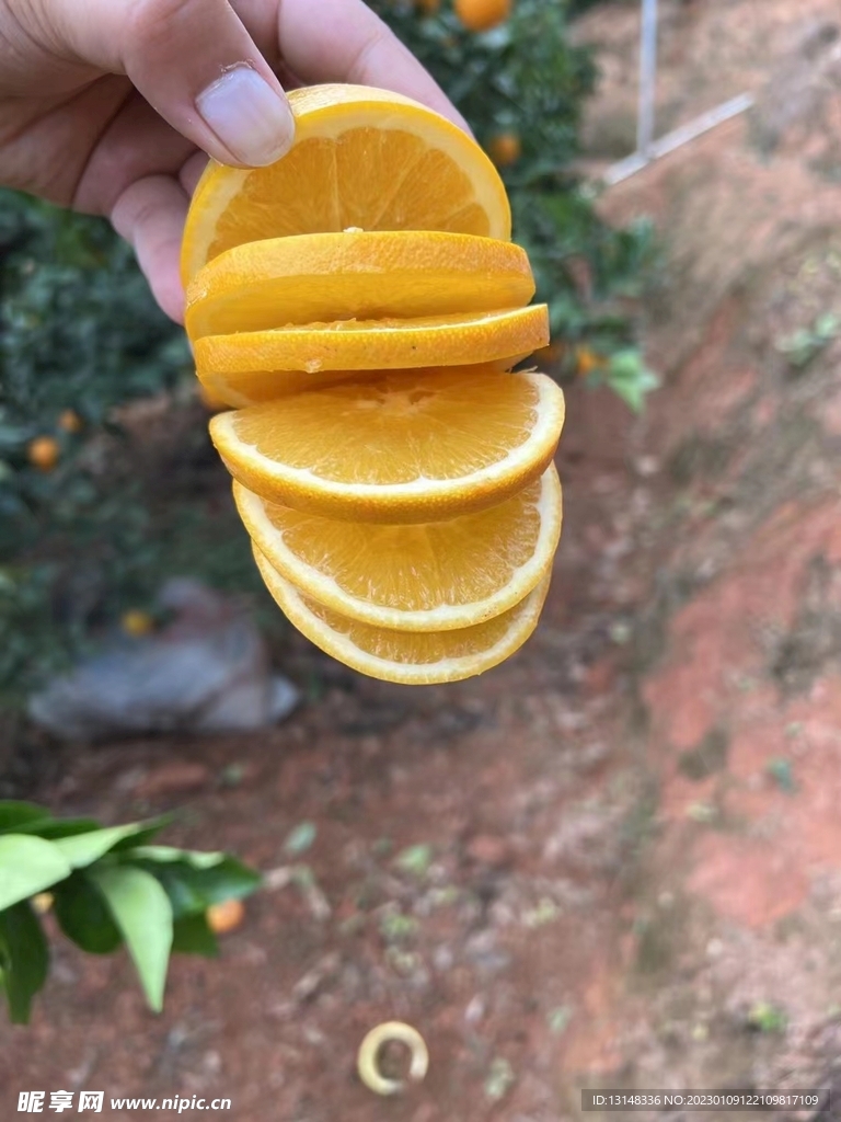 橙子