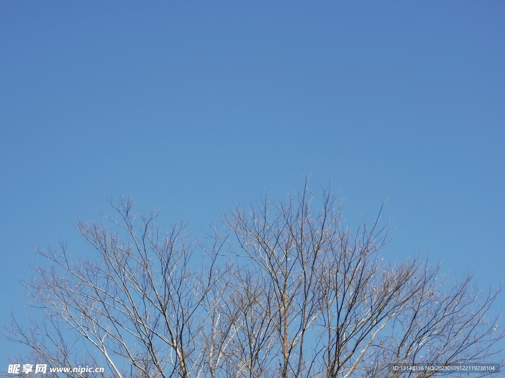 天空