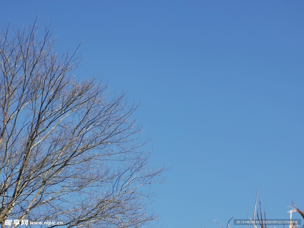 天空