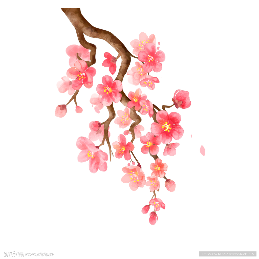 桃花