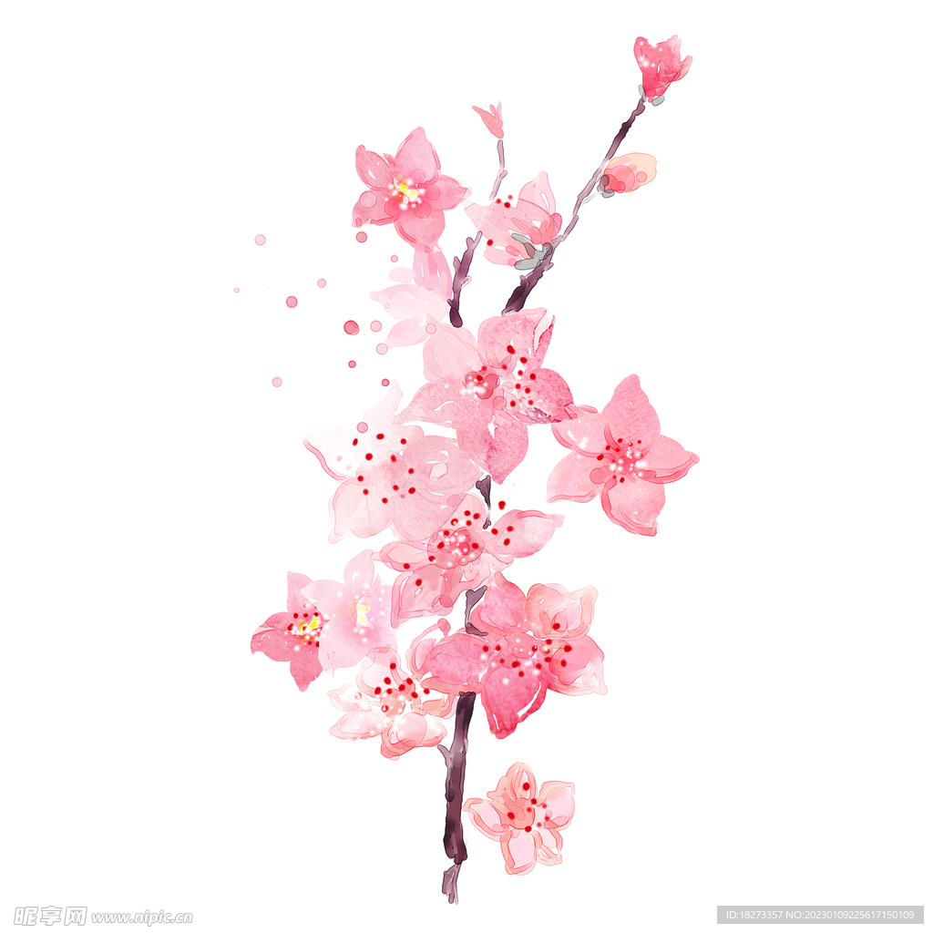 桃花