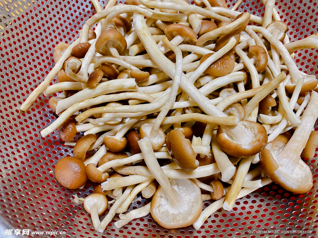火锅配菜茶树菇