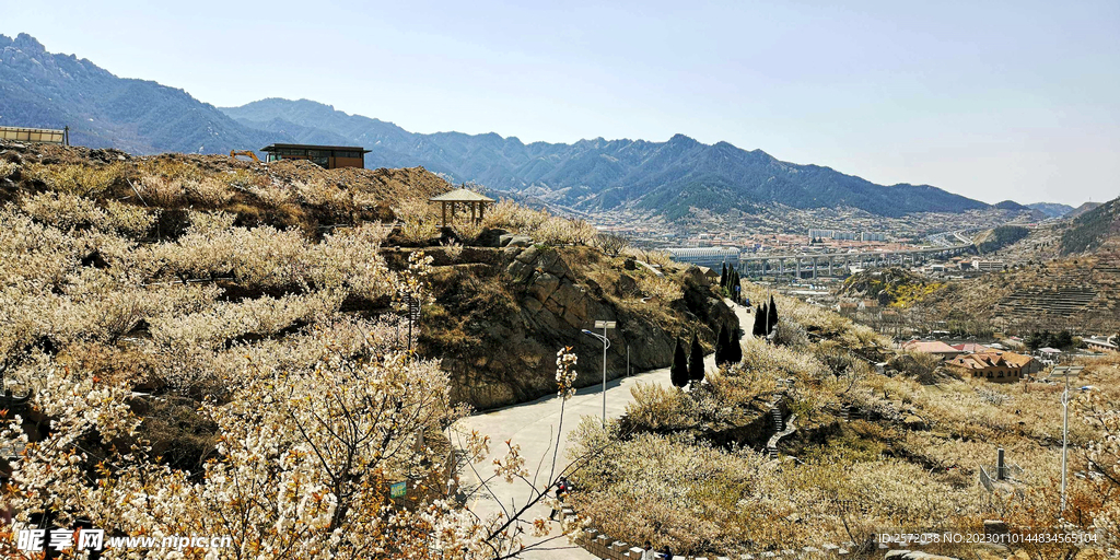 青岛崂山樱桃谷