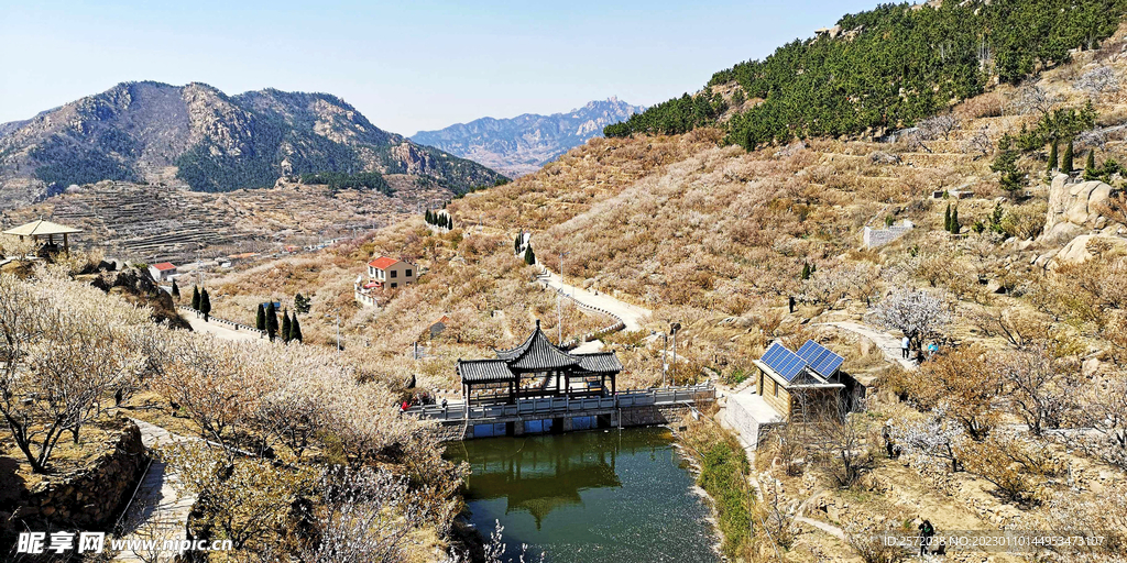 青岛崂山樱桃谷