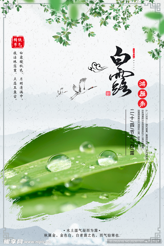24节气 白露