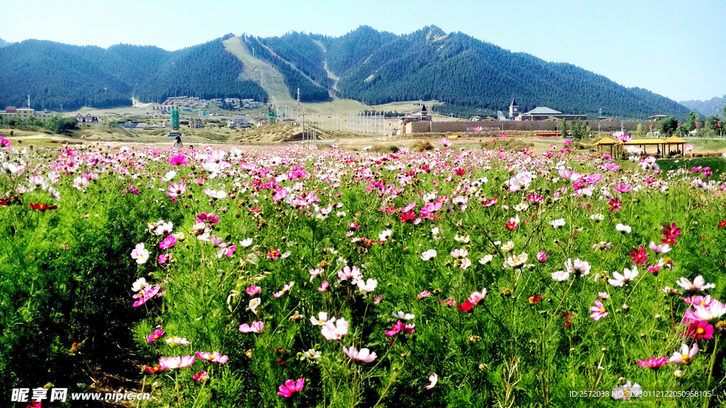 乌鲁木齐南山花海