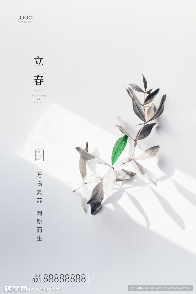 立春