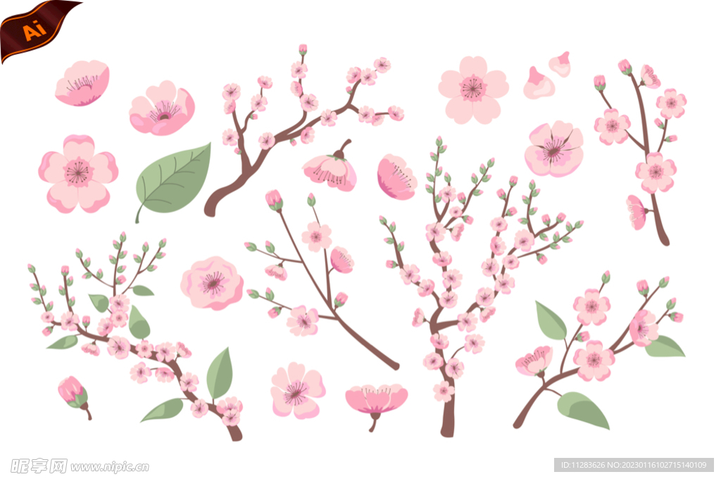 樱花插画