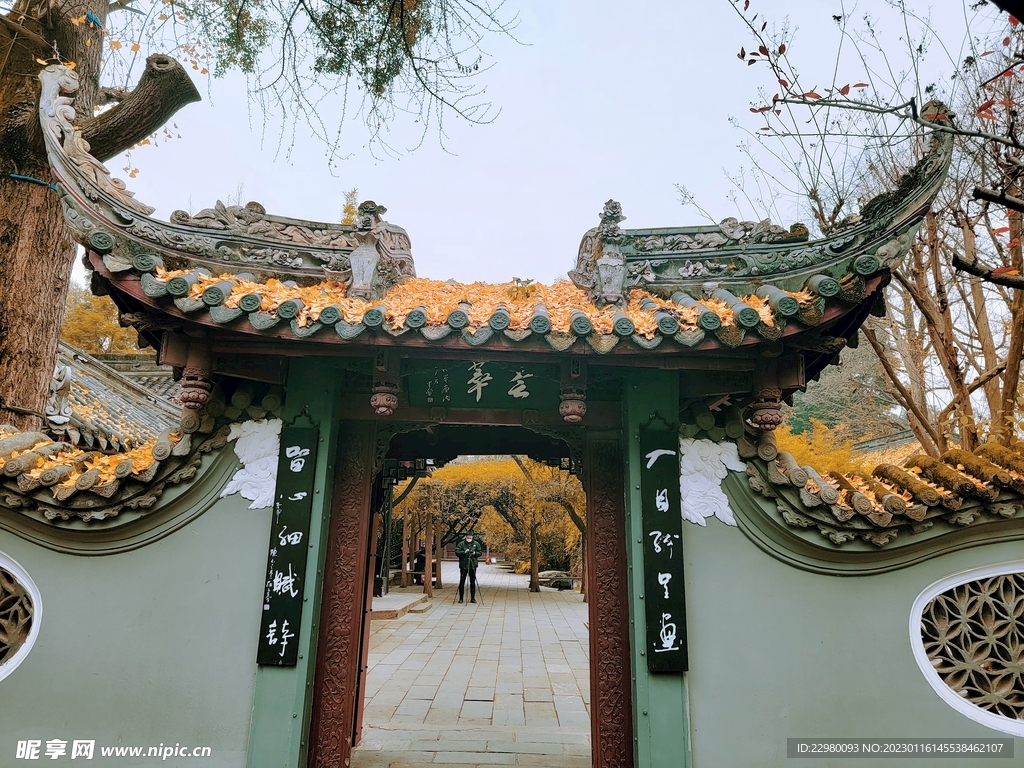 罨画池秋冬景
