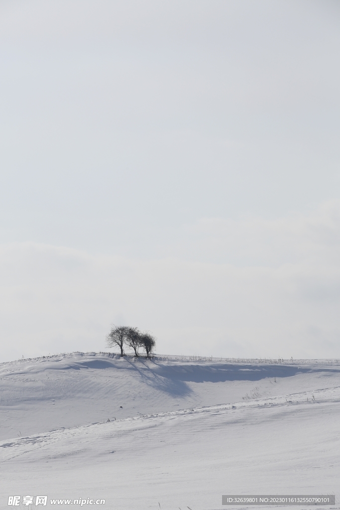 雪景 