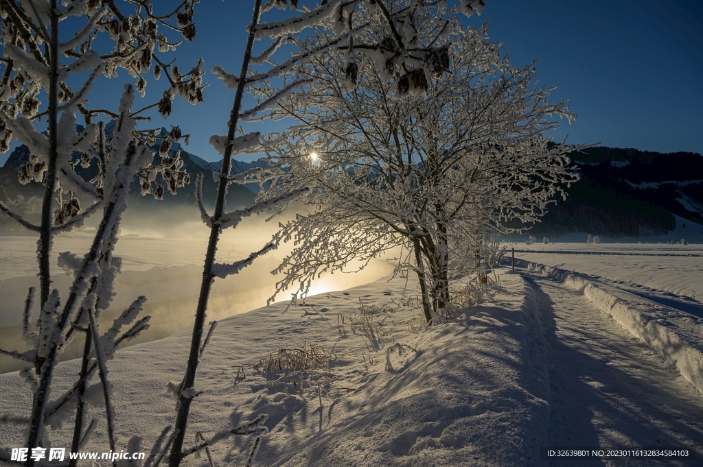 雪景