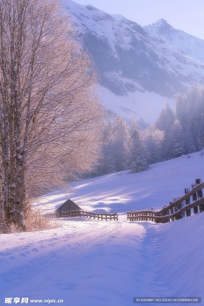 雪景