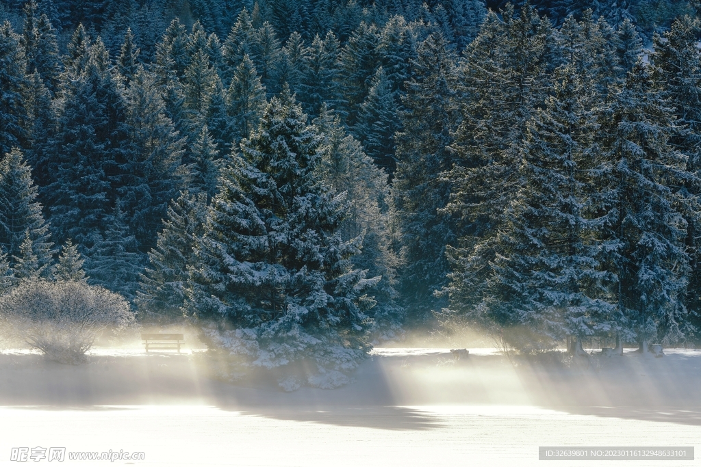 雪景