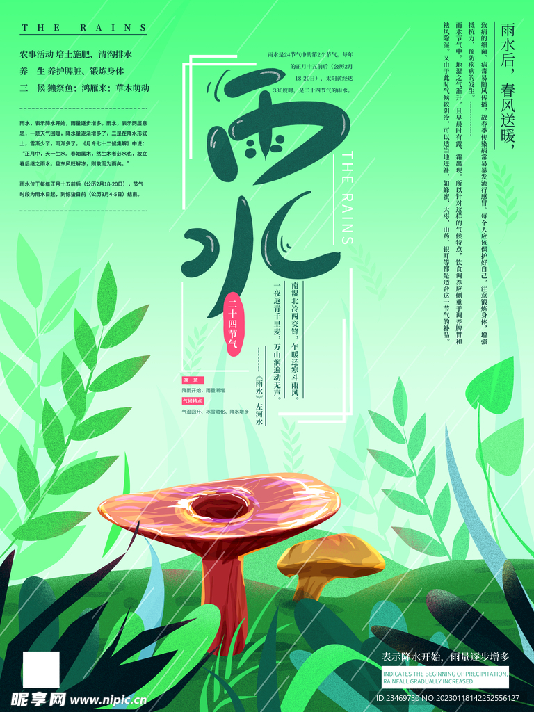 雨水