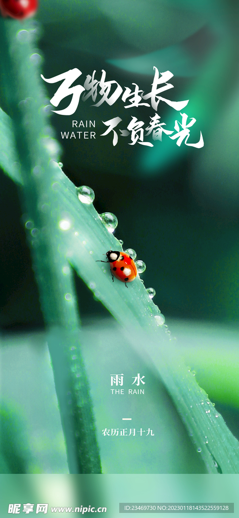雨水
