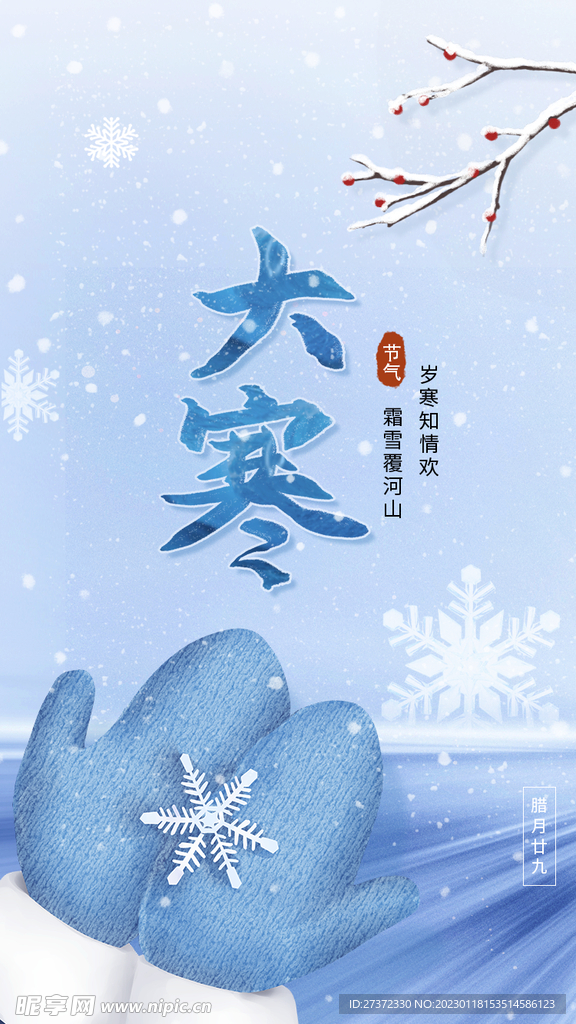 大寒海报