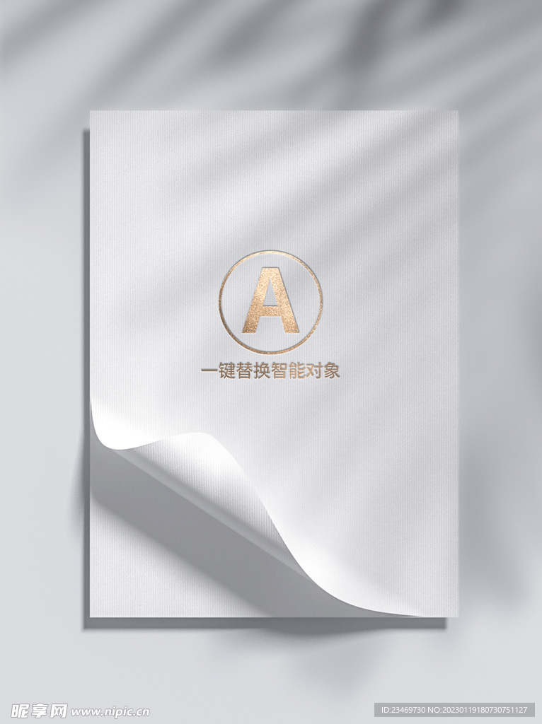 样机