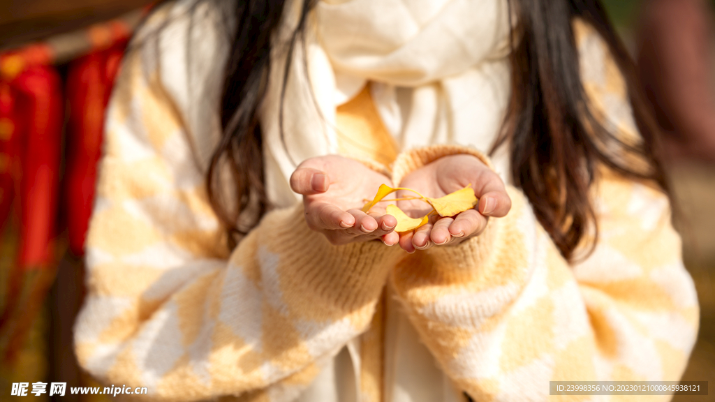 捧在手中的银杏树叶