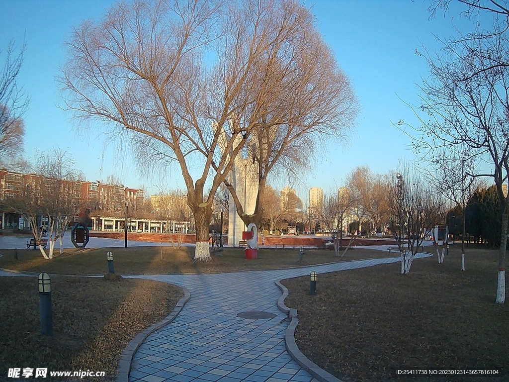 冬日下的公园
