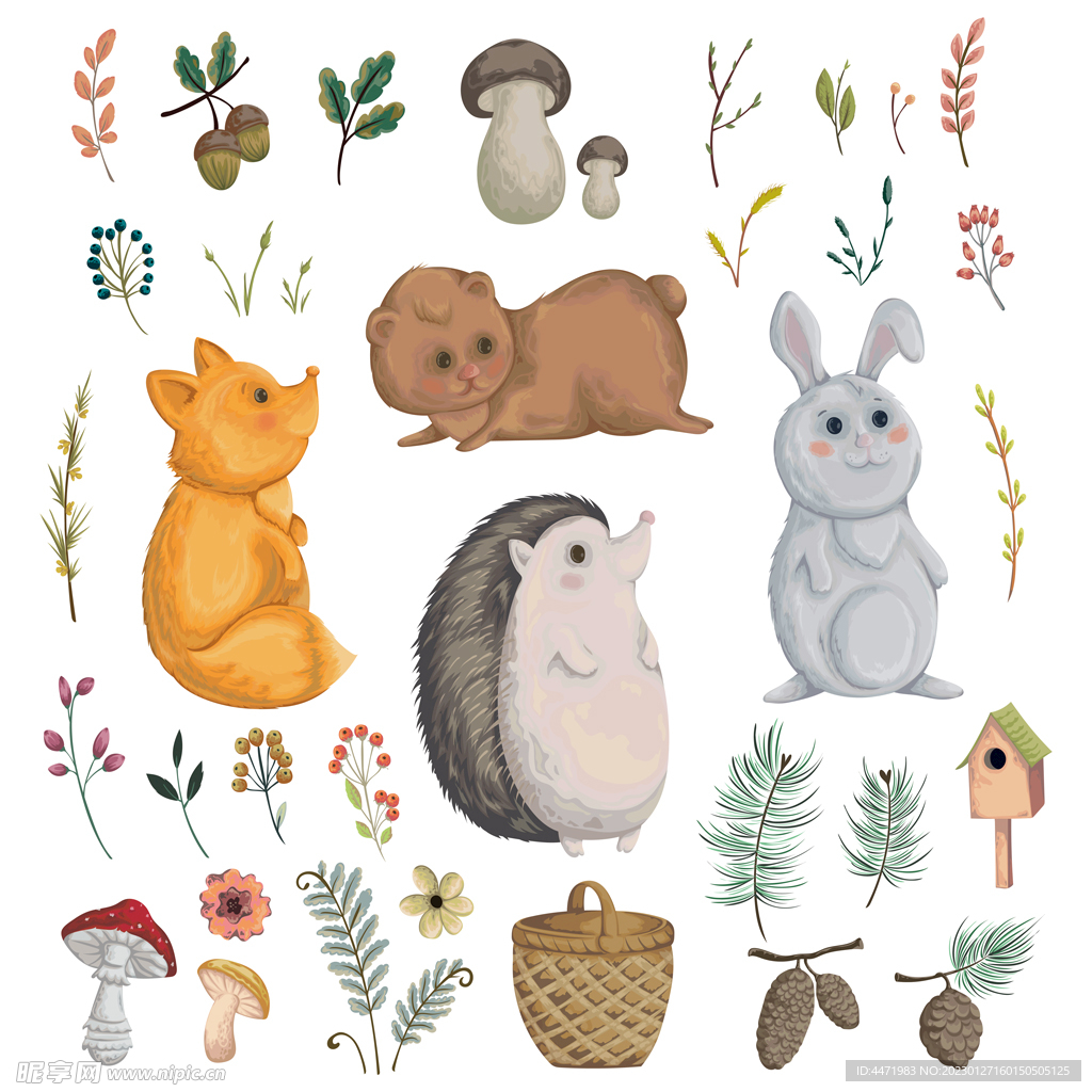 森林动物png透明图片