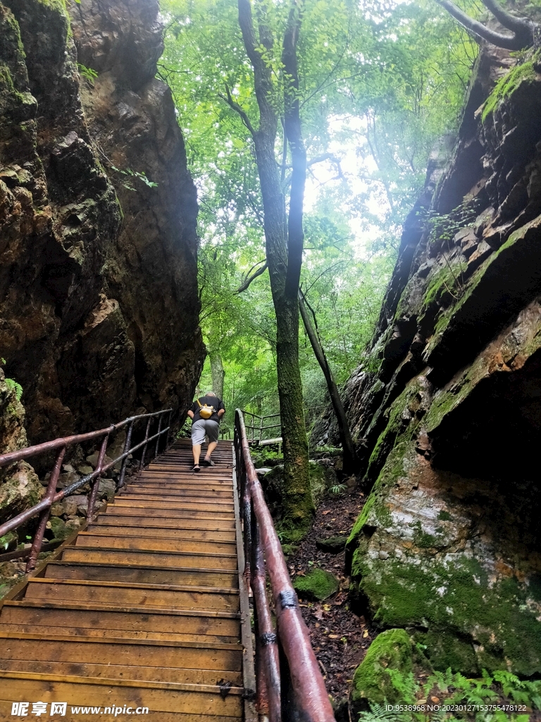 风景 天梯 