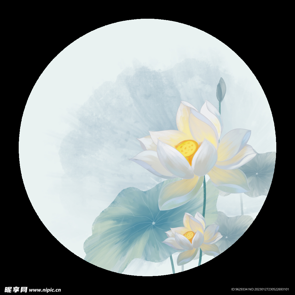 荷花