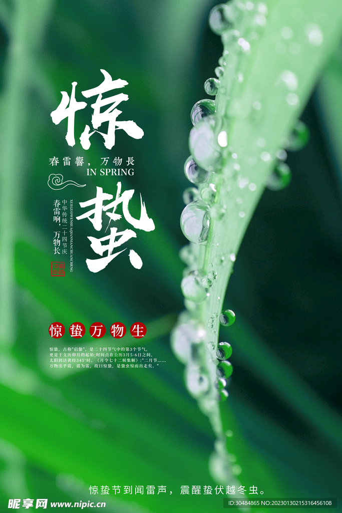 惊蛰节气海报