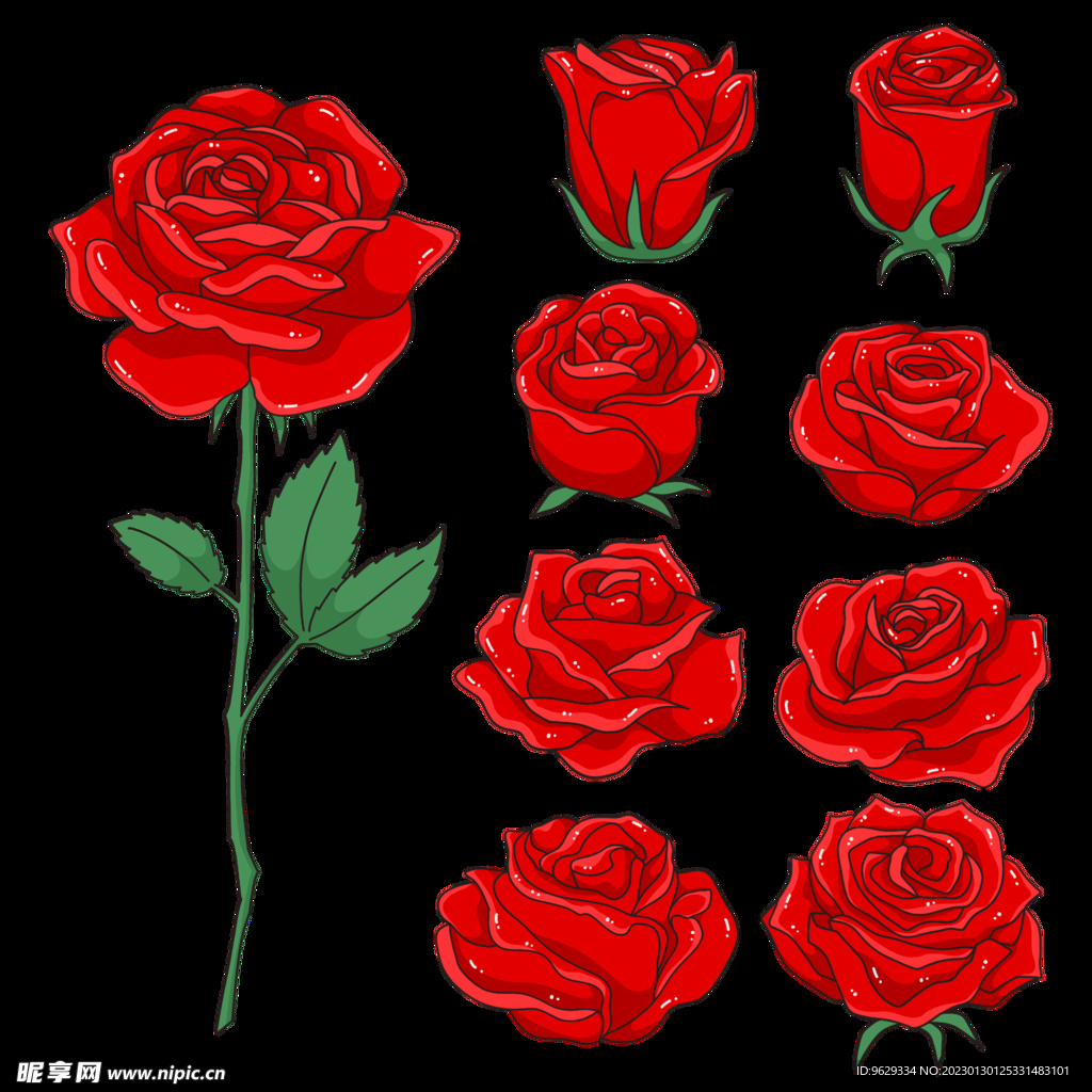 玫瑰花