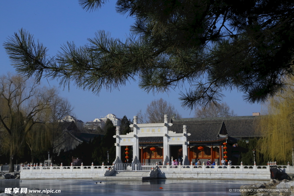 公园风景  