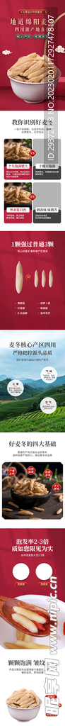 地道绵阳麦冬电商首页
