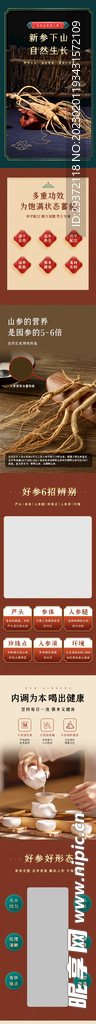 长白山生态人参电商首页